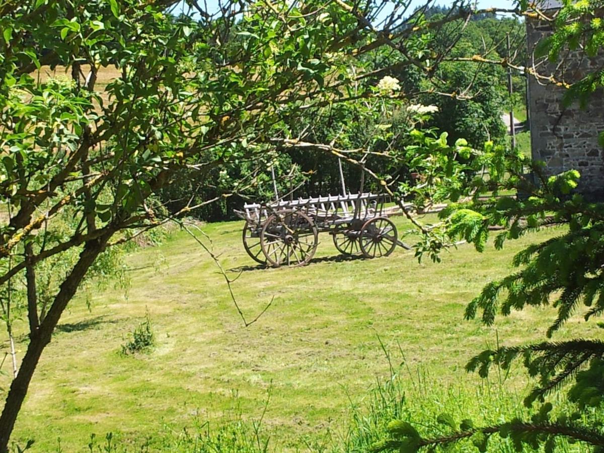 B&B Maison Coralie Sainte-Christine  Buitenkant foto